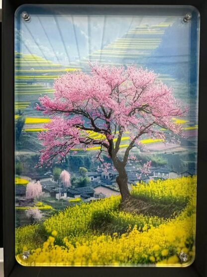 春色満園